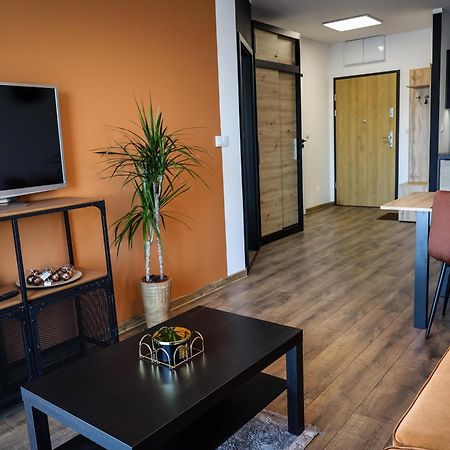 Apartament Ginger - Stare Miasto - Bezplatny Parking - Youtube Apartament Ginger We Wroclawiu Exterior foto