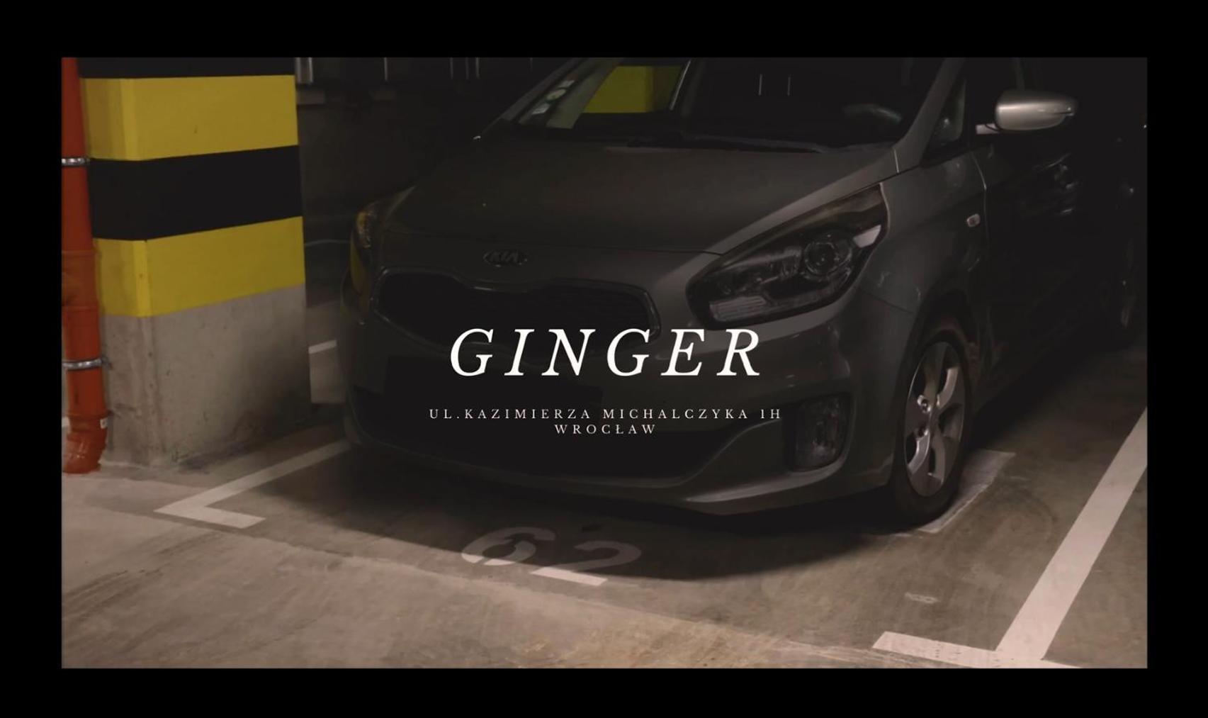 Apartament Ginger - Stare Miasto - Bezplatny Parking - Youtube Apartament Ginger We Wroclawiu Exterior foto
